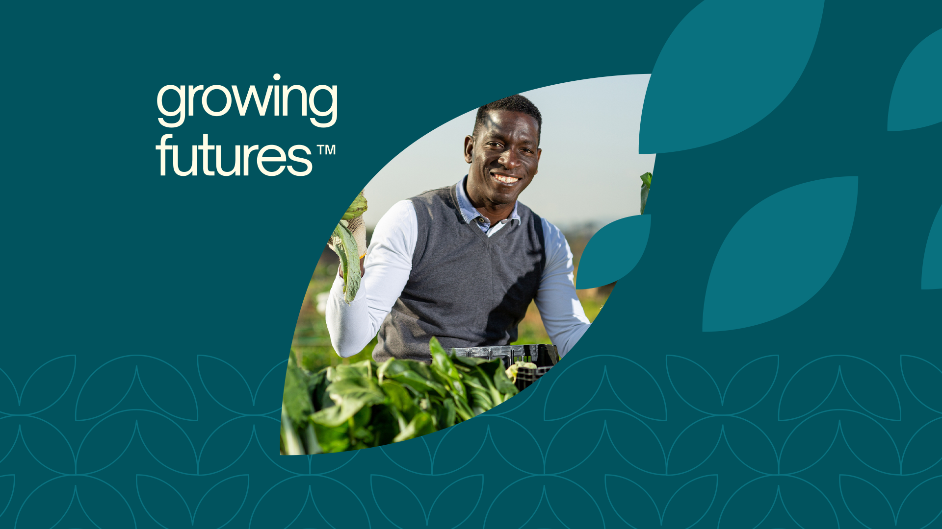ALL AGRIC WEBSITE SLIDER